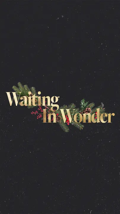 Waiting In Wonder: story