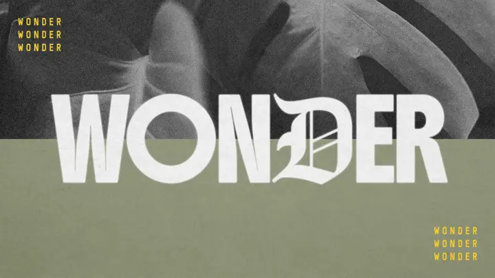 Wonder: 4K slide