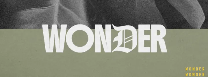 Wonder: facebook cover