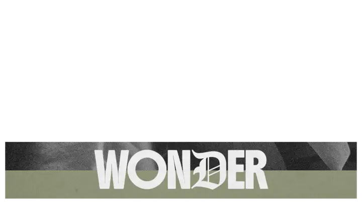 Wonder: lower third