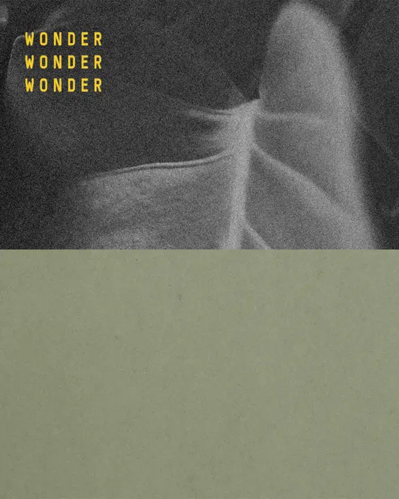 Wonder: social post · blank