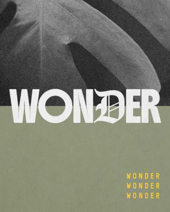Wonder: social post