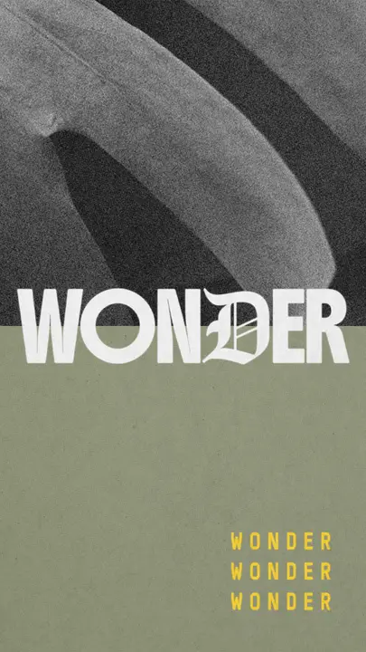 Wonder: story