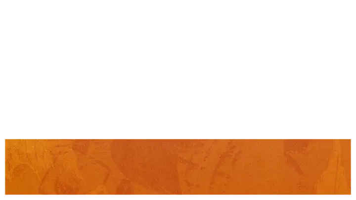 Thanksgiving Dinner: lower third · blank