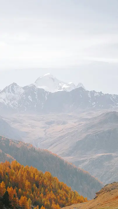 From Worry to Worship: story · blank