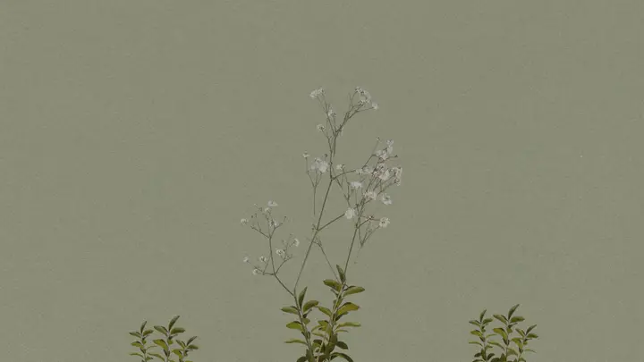New Nature: 4K slide · blank