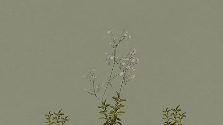 New Nature: blank background