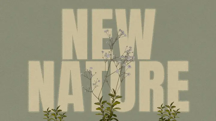 New Nature: HD slide