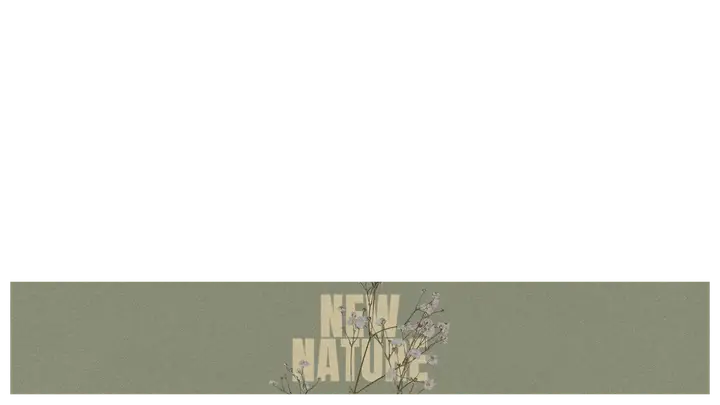 New Nature: lower third