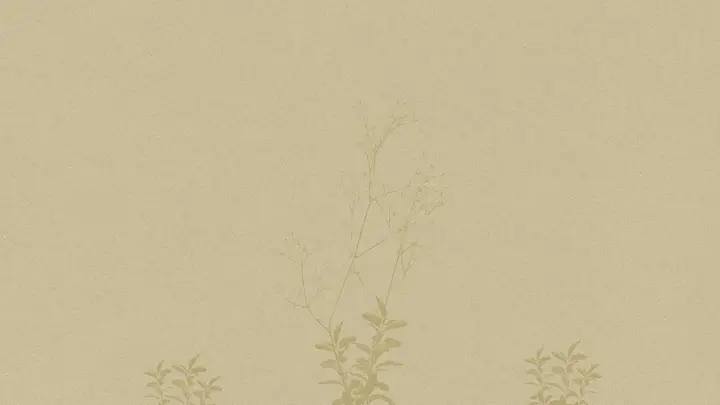 New Nature: notes slide