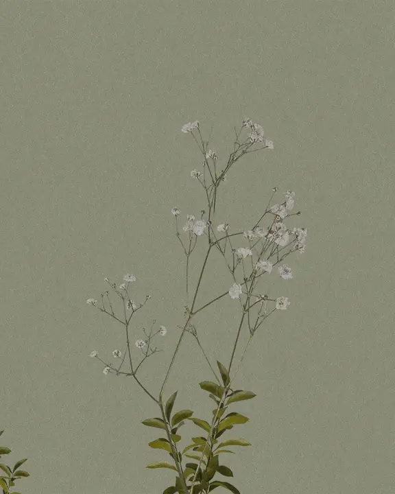 New Nature: social post · blank
