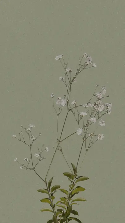 New Nature: story · blank