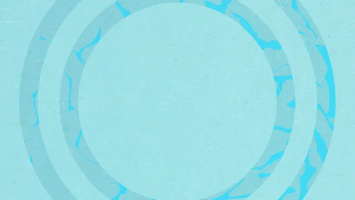 Spin Cycle: blank background
