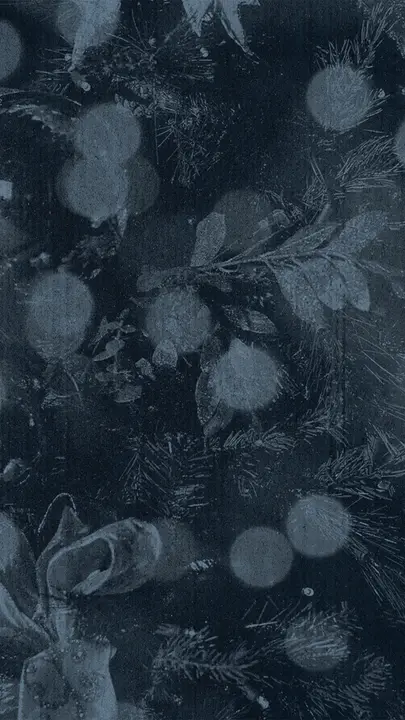 Nothing But Christmas: story · blank