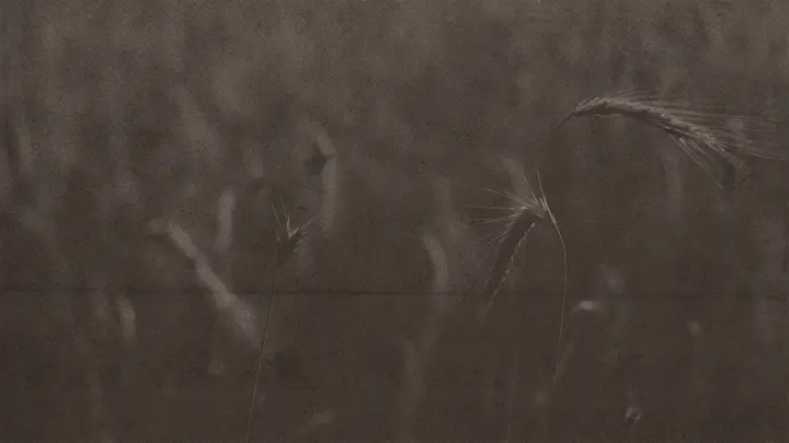 Ruth God’s Redemptive Love Story: 4K slide · blank