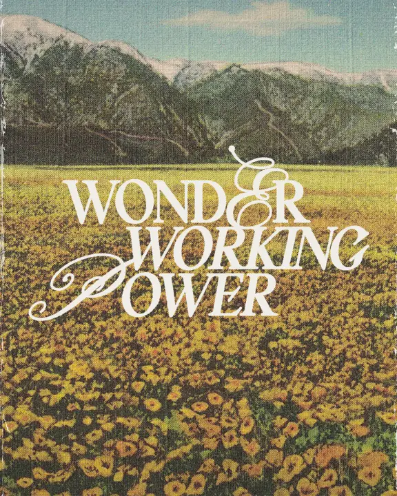 Wonder Working Power: social post