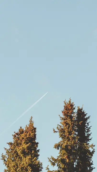 God Works for the Good: story · blank