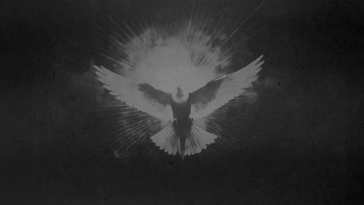 Supernatural: blank background