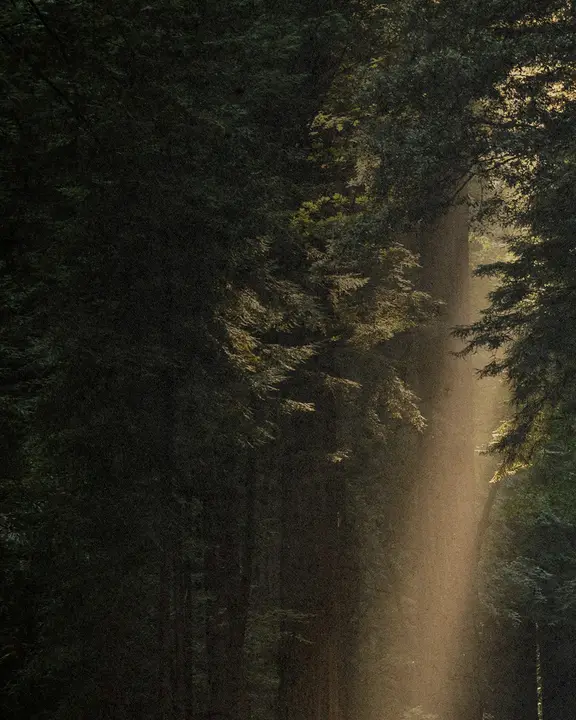 Way Through It: social post · blank