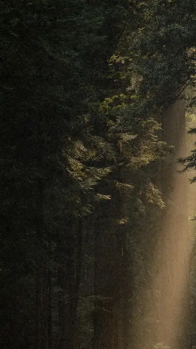 Way Through It: story · blank
