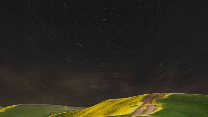Field of Dreams: 4K slide · blank