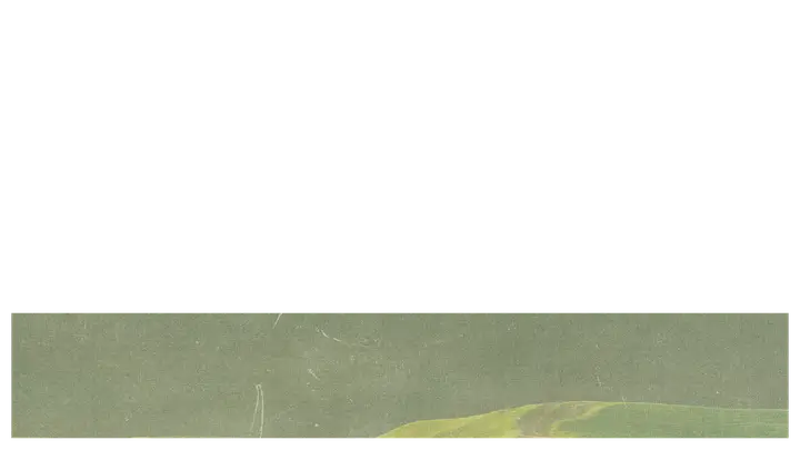 Field of Dreams: lower third · blank