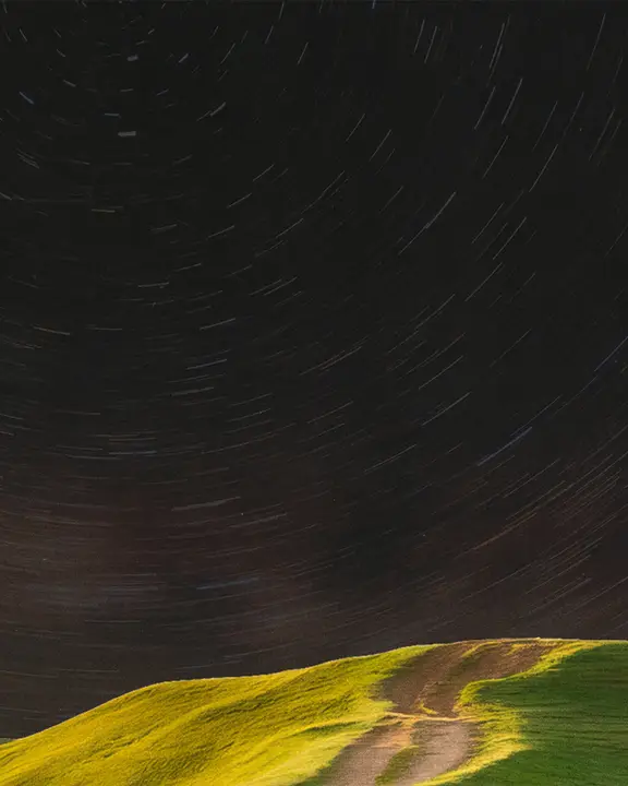Field of Dreams: social post · blank