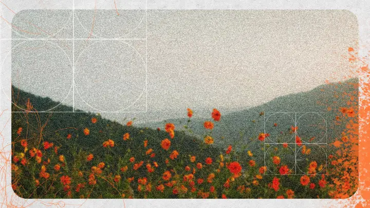 Seasons: 4K slide · blank
