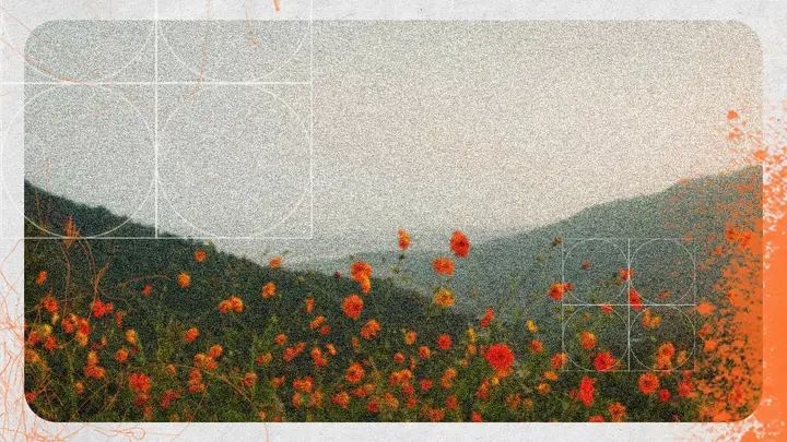 Seasons: blank background