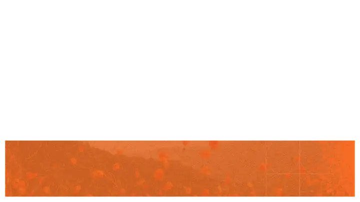 Seasons: lower third · blank