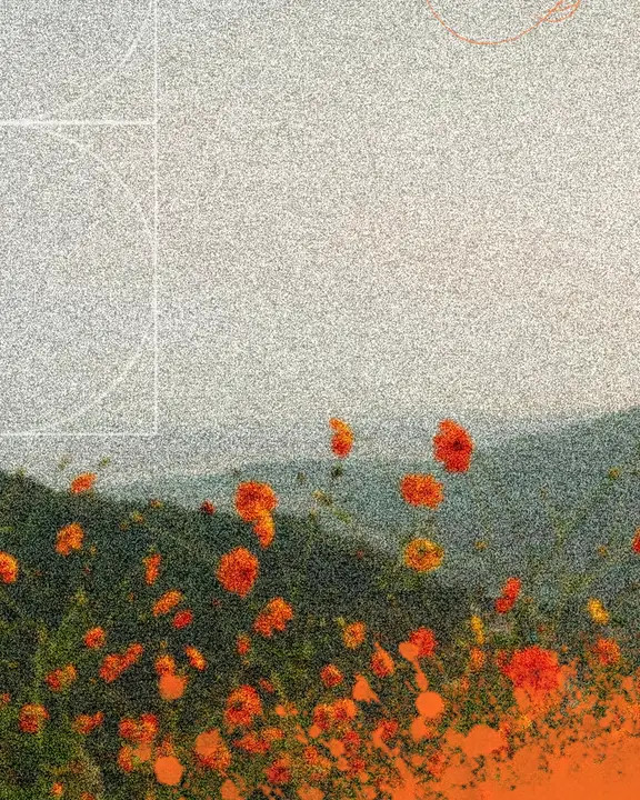 Seasons: social post · blank