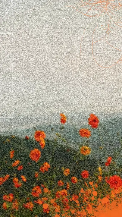 Seasons: story · blank