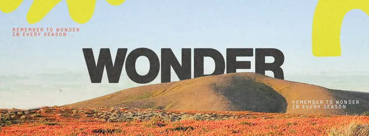 Wonder: facebook cover