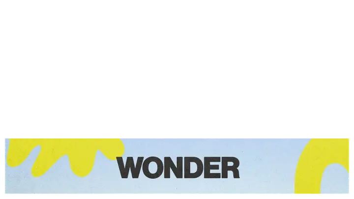 Wonder: lower third