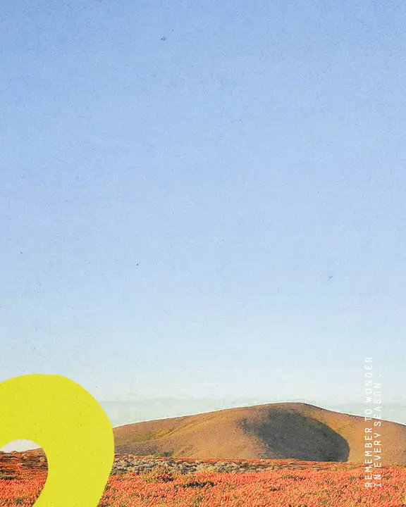 Wonder: social post · blank