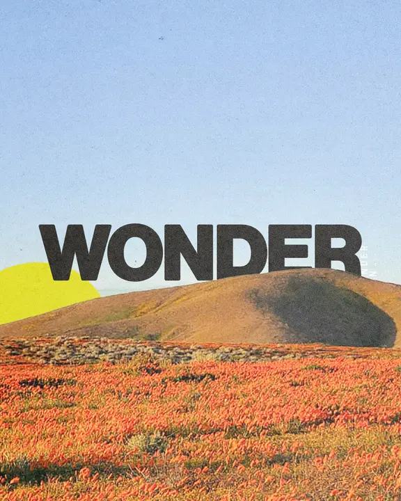 Wonder: social post