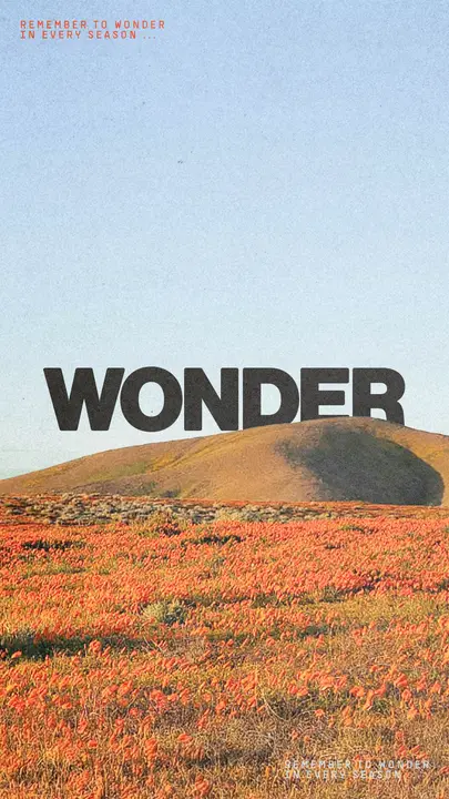 Wonder: story