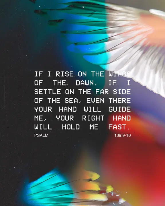 Wings of the Dawn: social post