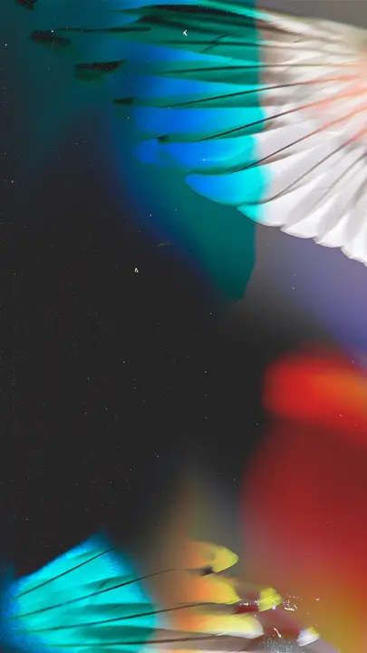 Wings of the Dawn: story · blank