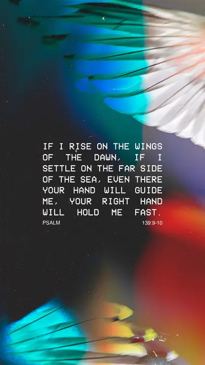 Wings of the Dawn: story