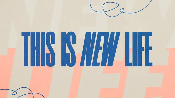 This Is New Life: HD slide