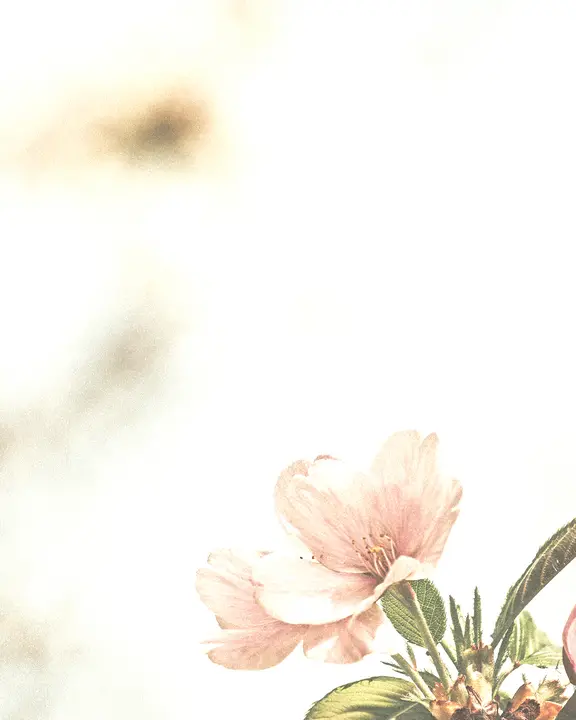 Making All Things New: social post · blank