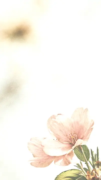 Making All Things New: story · blank
