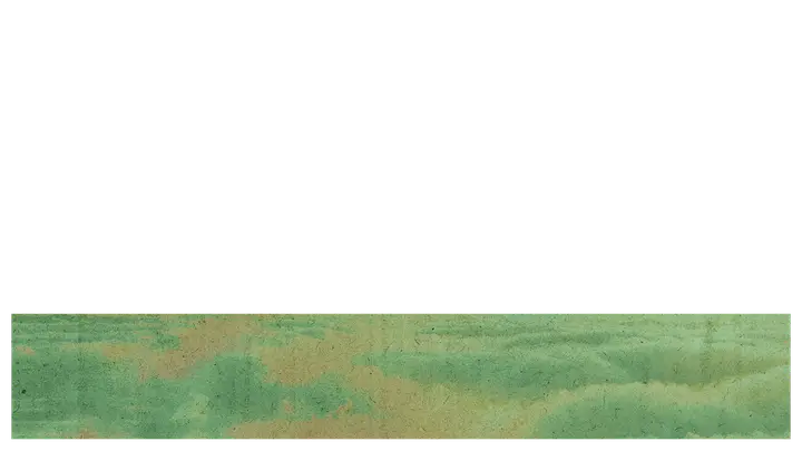 Hope Rising: lower third · blank