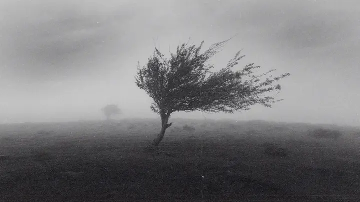 Faith in Every Season: 4K slide · blank