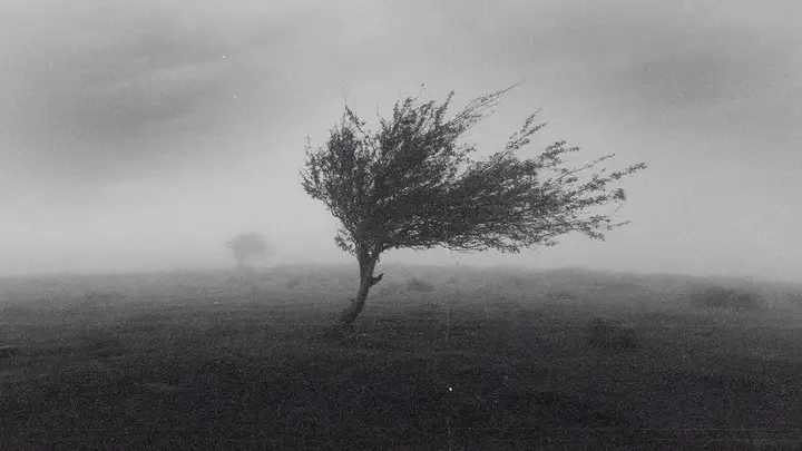 Faith in Every Season: blank background