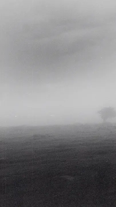 Faith in Every Season: story · blank