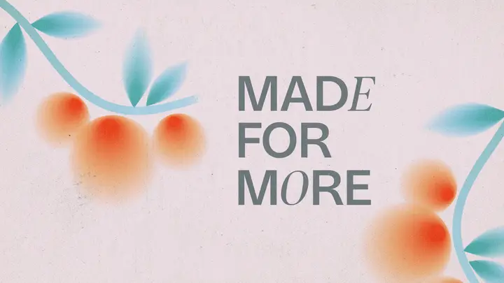 Made For More: HD slide