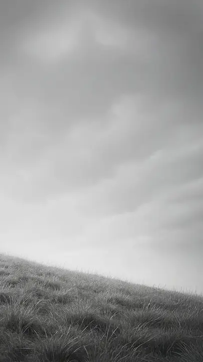 Isaiah: story · blank