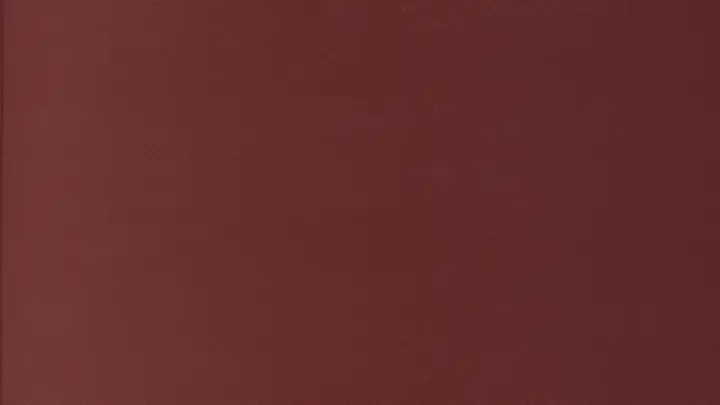 Mother’s Day: blank background